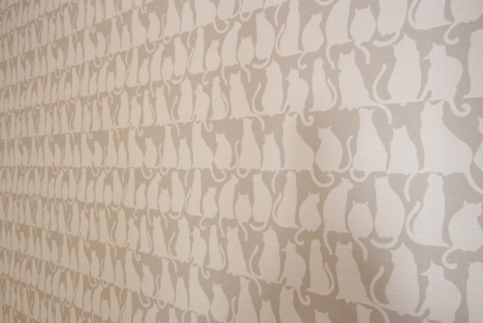 壁紙はねこ、ネコ、猫だらけ。