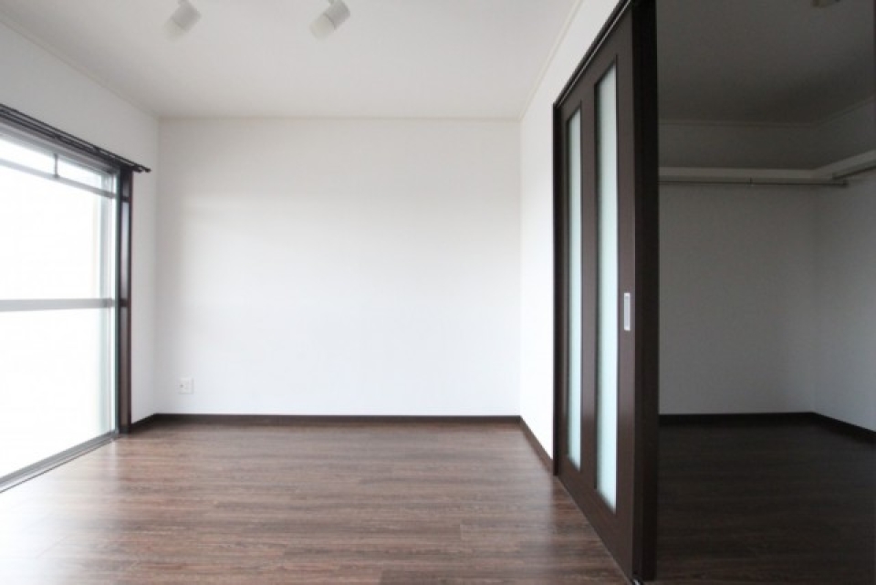 洋室と収納が2対1くらいの比率という、ウォークインクローゼットの大きさ