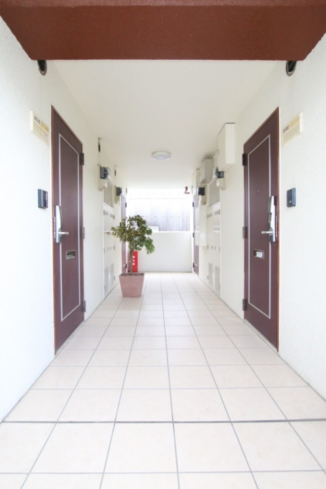 共有スペースにグリーンがあるだけで雰囲気が一変。