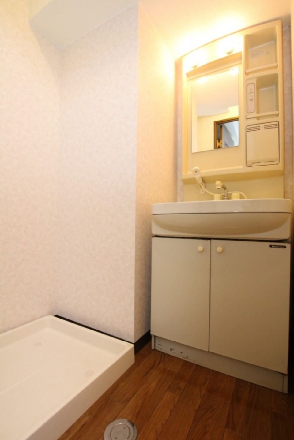 大きなシャンプードレッサーの洗面台。