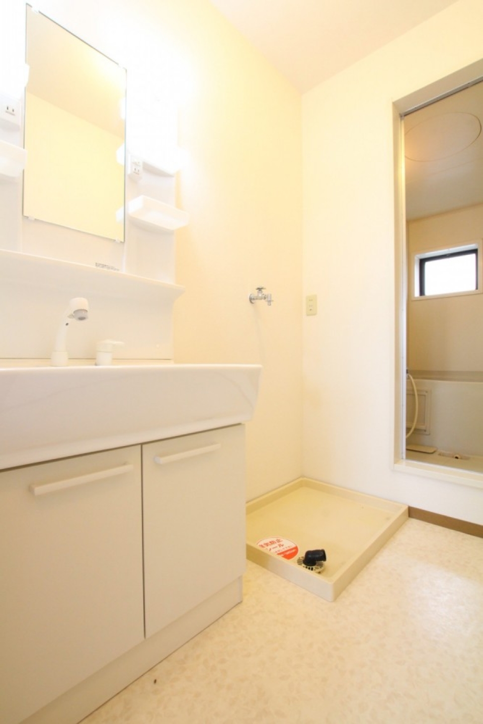 脱衣所には大きなシャンプードレッサーが居座る。