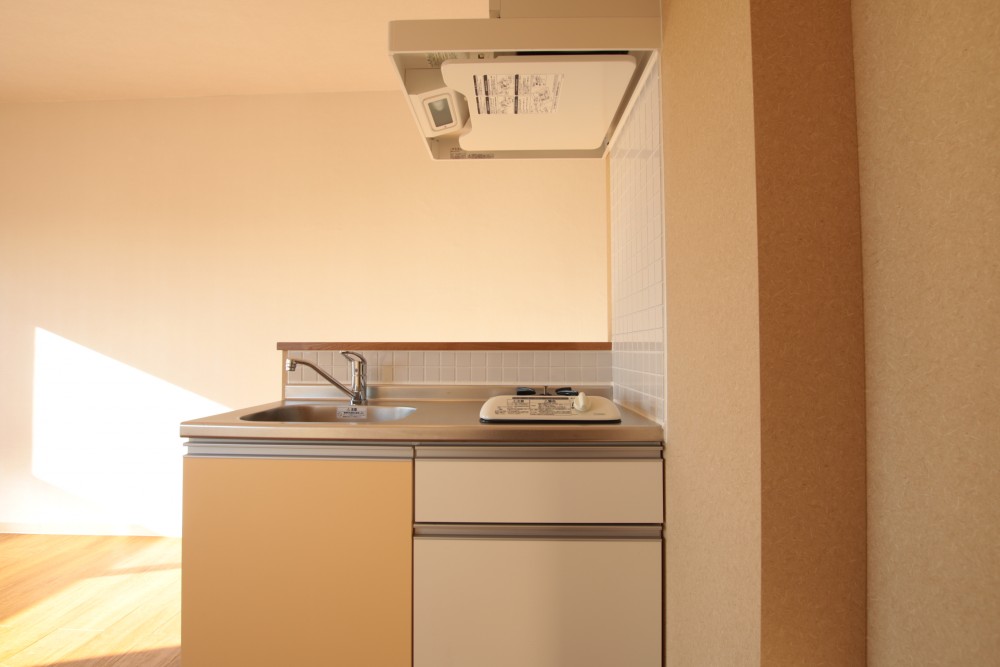 シンプルisベスト　なキッチン。お部屋のまわりにはファミレスやコンビニがあるから一人暮らしには十分。