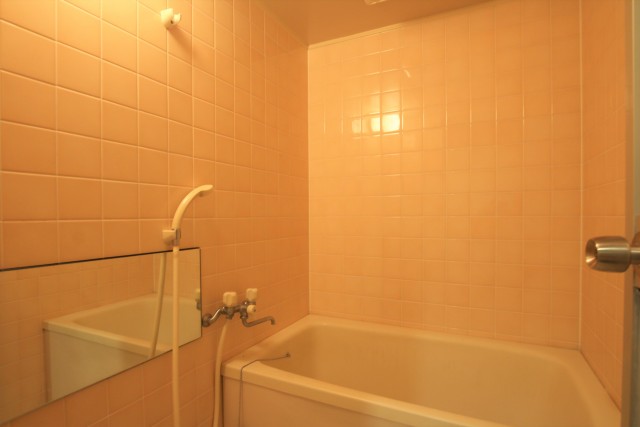 鏡付きの浴室。