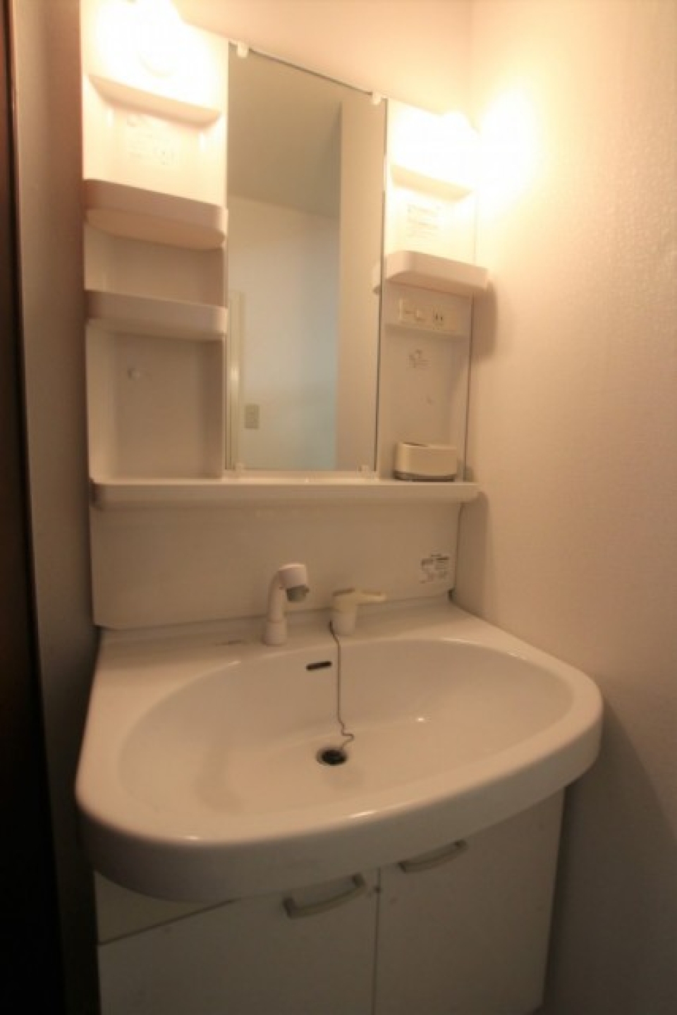 広々とした洗面化粧台。