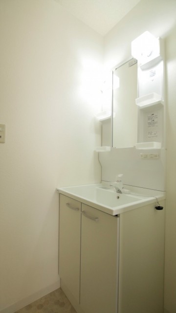 まだまだきれいなシャンプードレッサー