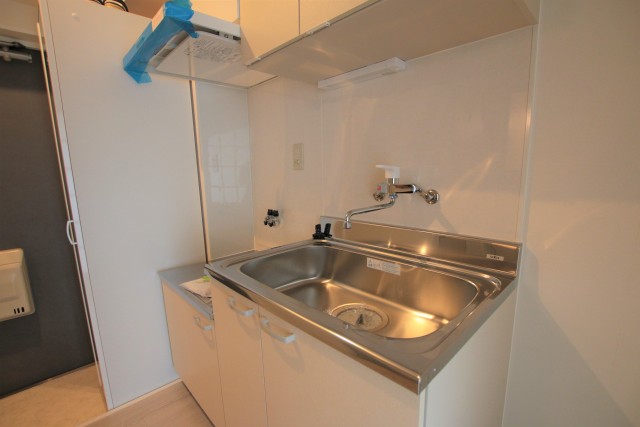 1人暮らしには十分な広さの流し台。