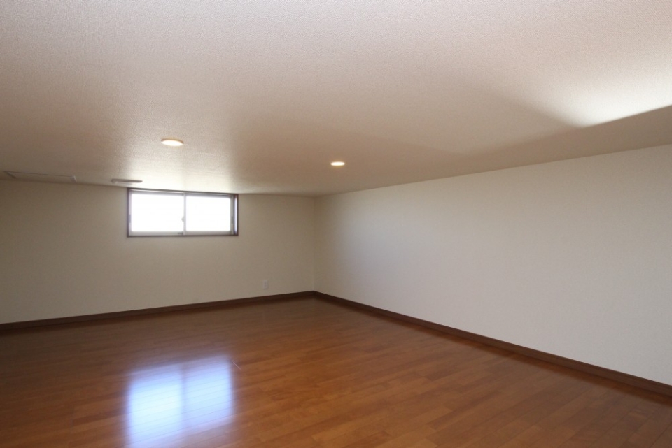 天井は低いが収納王スペース。