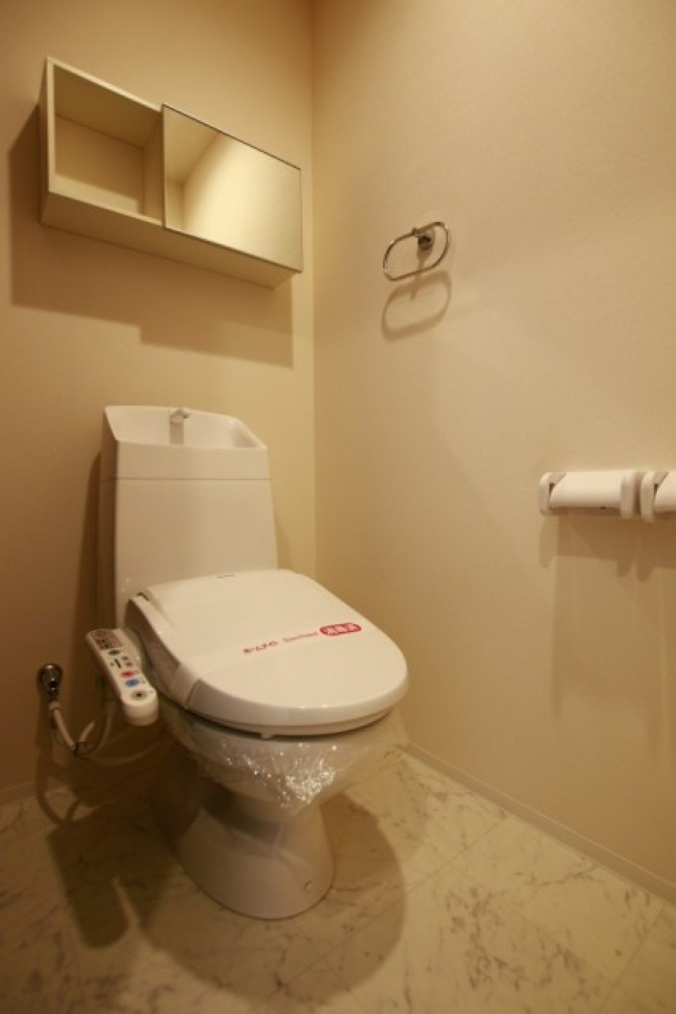 トイレです。頭上に棚があります。