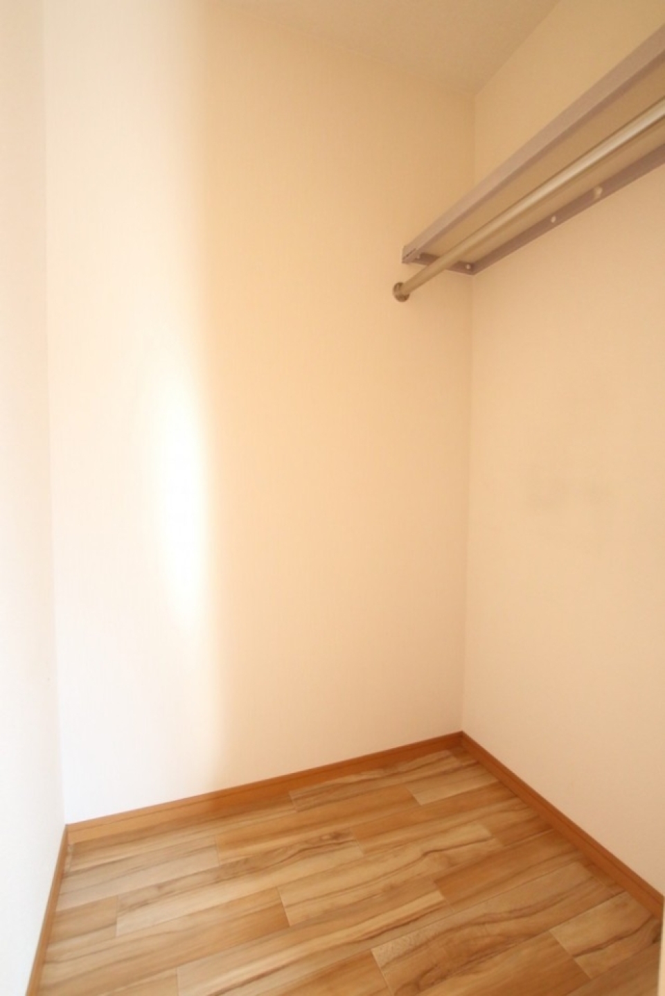 左端の収納はコンパクトなウォークイン。