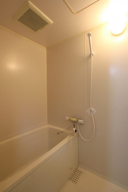 シンプルな浴室。