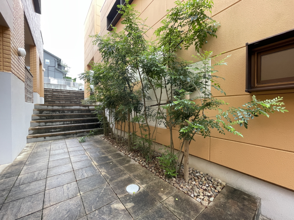 褪せたレンガのようなベージュに植栽の緑が映えています