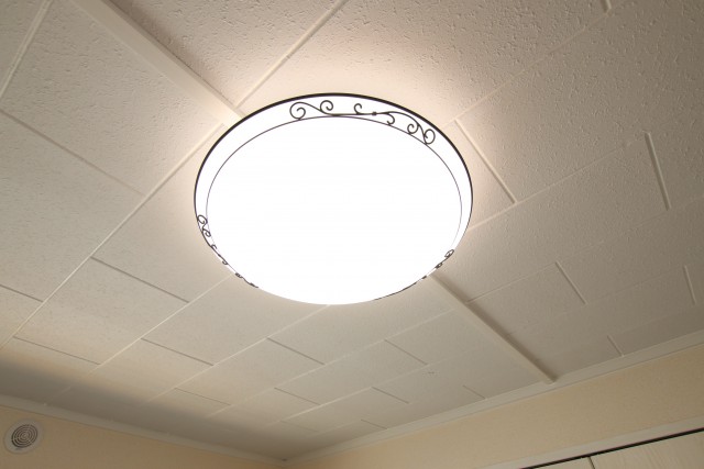 天井とライトがレトロかわいい。