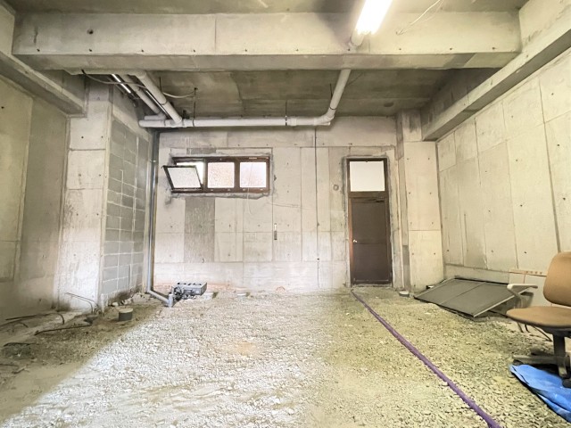 わくわくスケルトン！