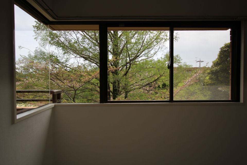窓に写る木々、自然絵画が楽しめるお部屋。