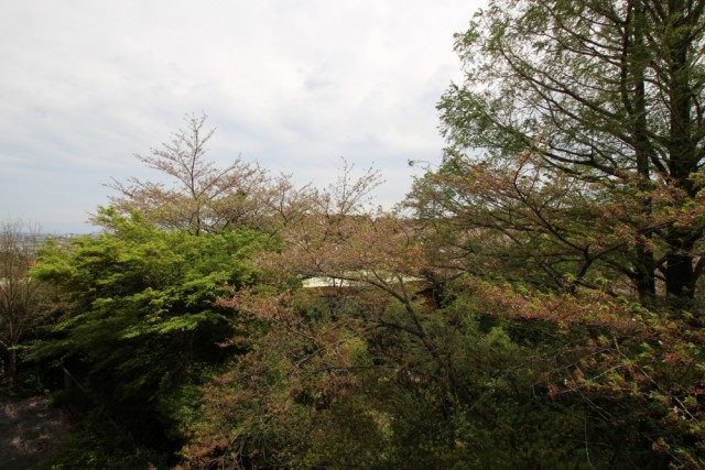 バルコニーからの景色。