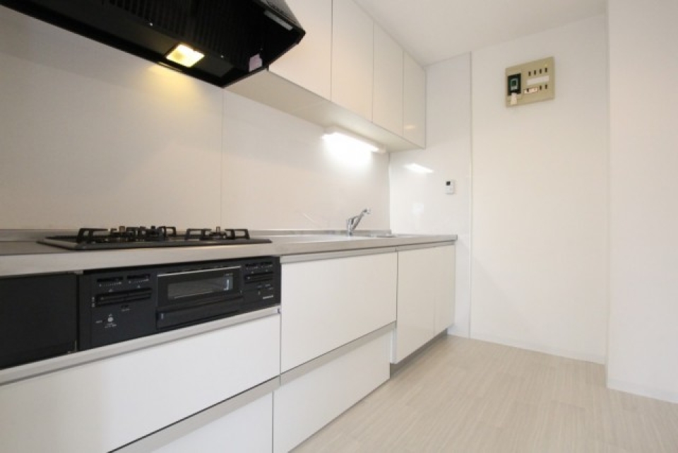 作業効率が上がりそうな広々したシステムキッチン。