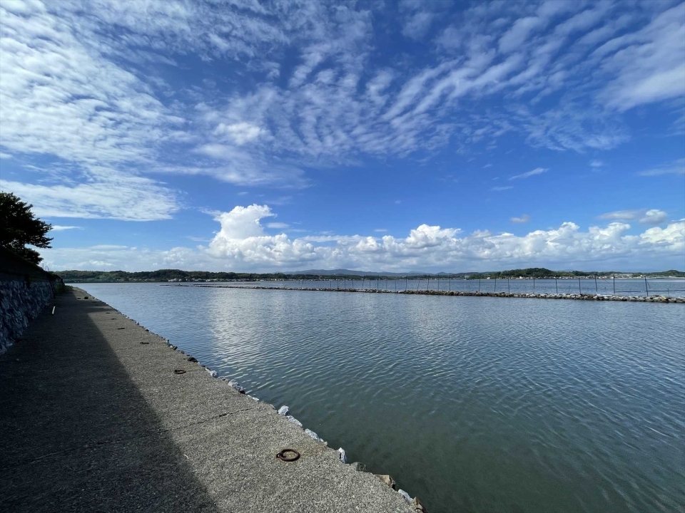 淡水と海水が混ざった汽水湖なので多用な生物が住んでいる豊かな湖