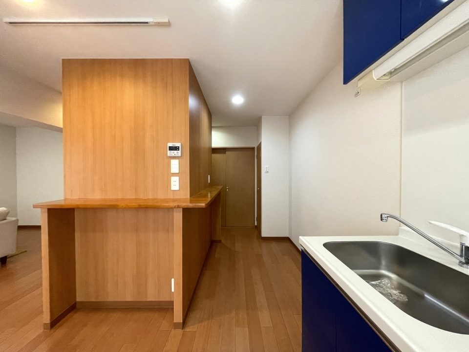 カウンターは食卓としても使えそうですね。