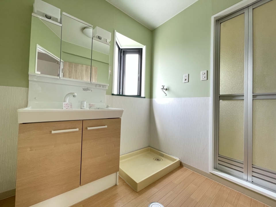 洗面台はシャワー付きで3面鏡タイプ