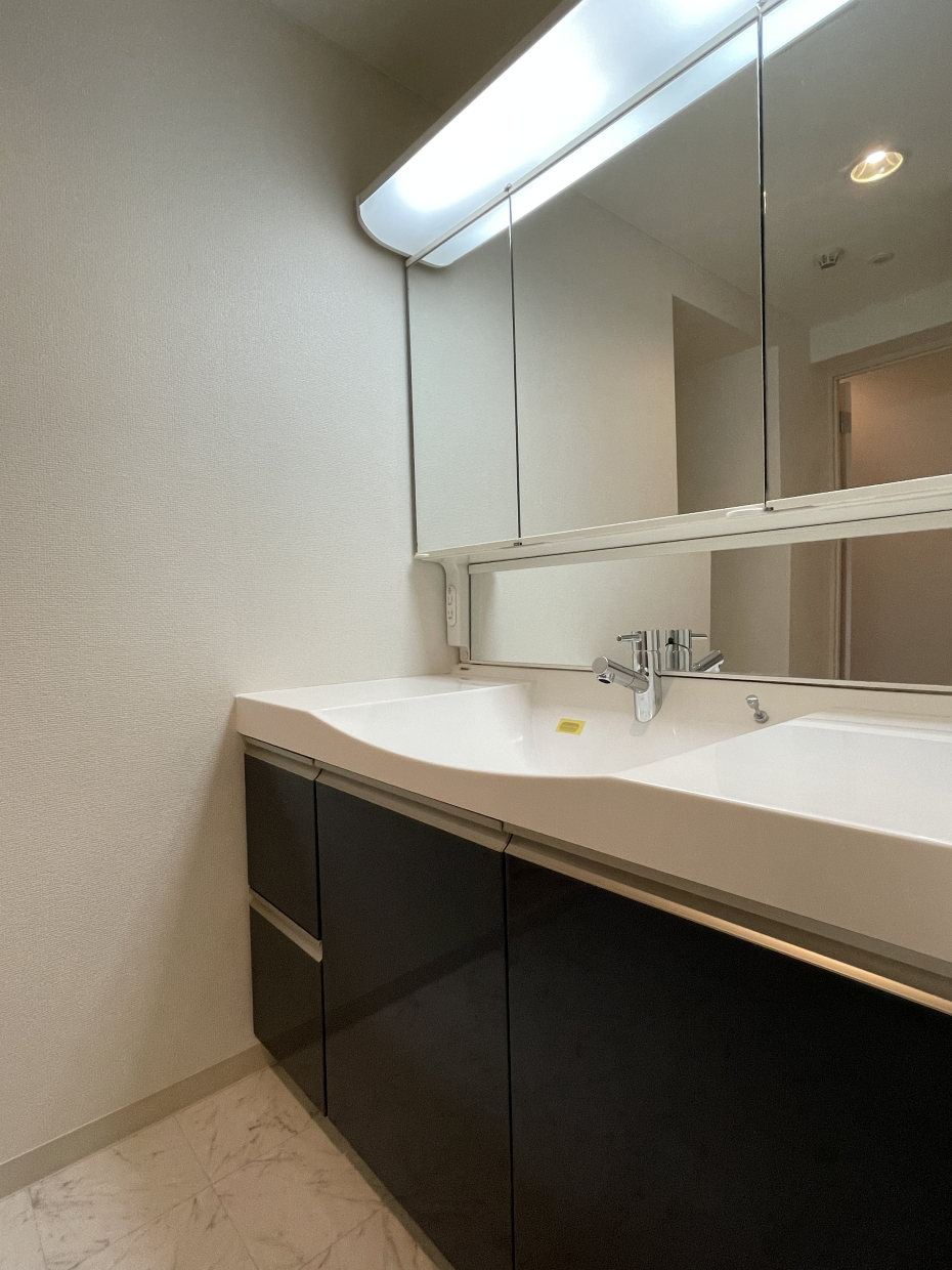 広くゆとりのある洗面室