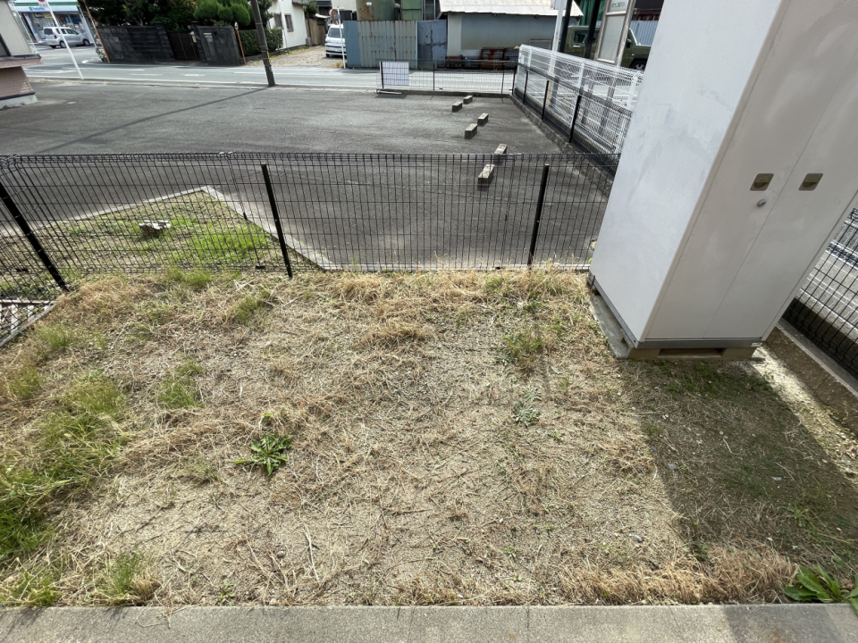 専用庭は芝生になっているので、転んでも安心。