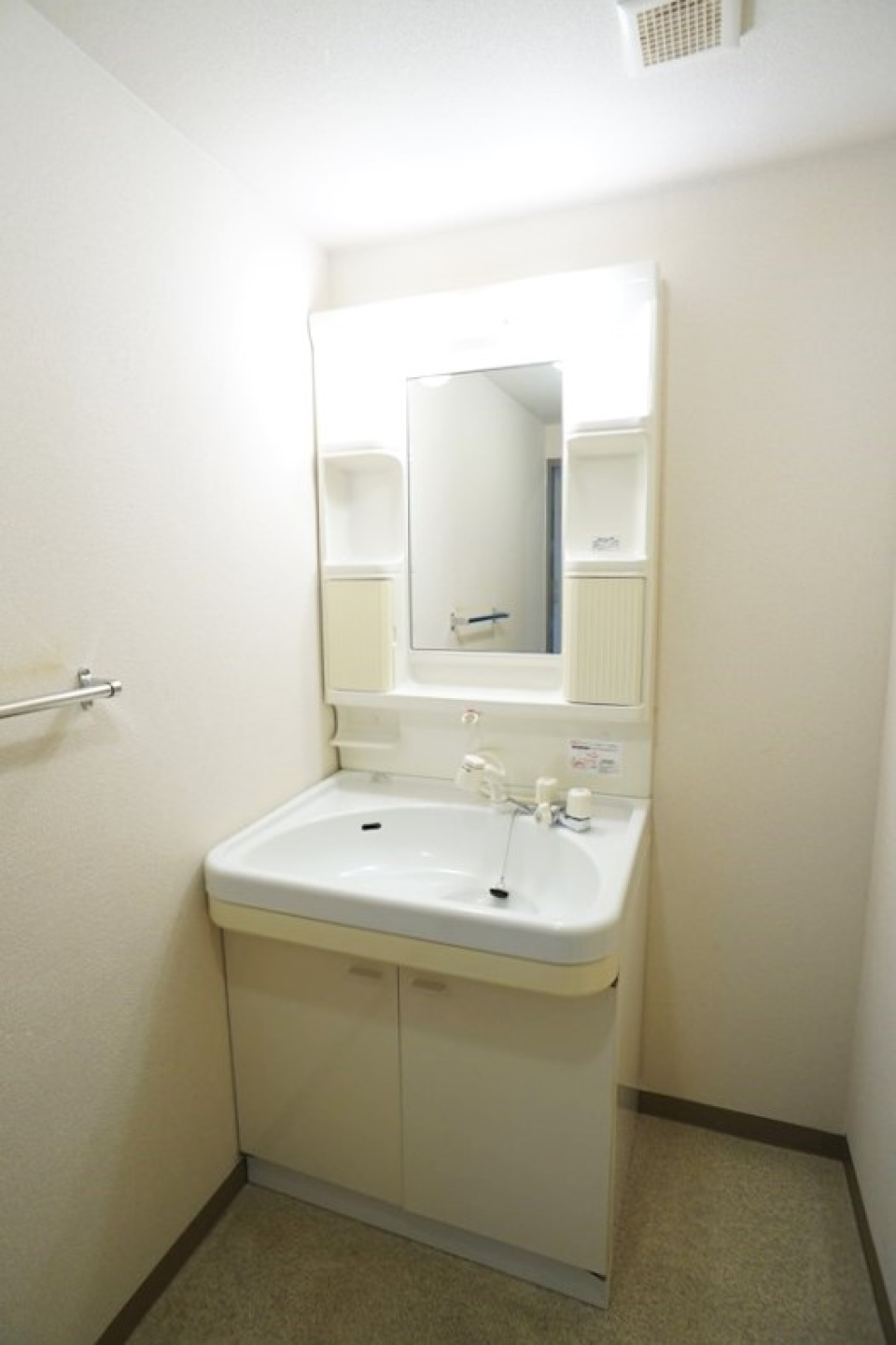 1人で使うには十分なスペースの洗面