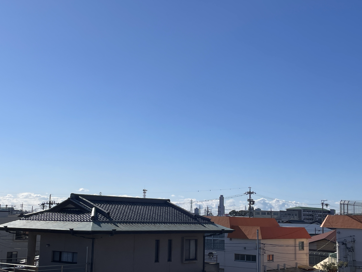 アクトが見えます