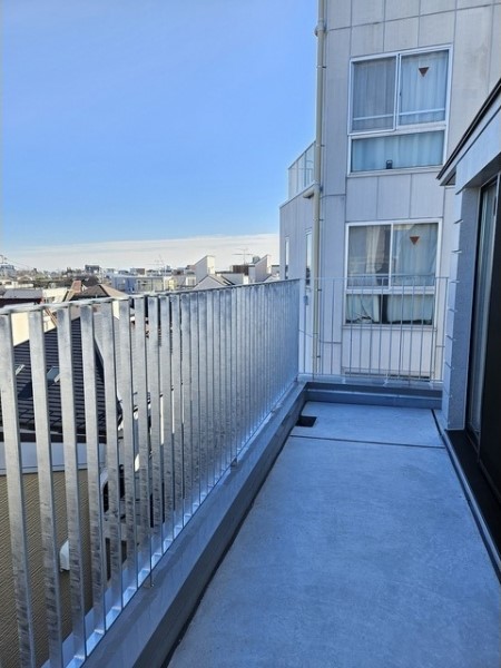 リビングを囲うようにながーく続くテラス