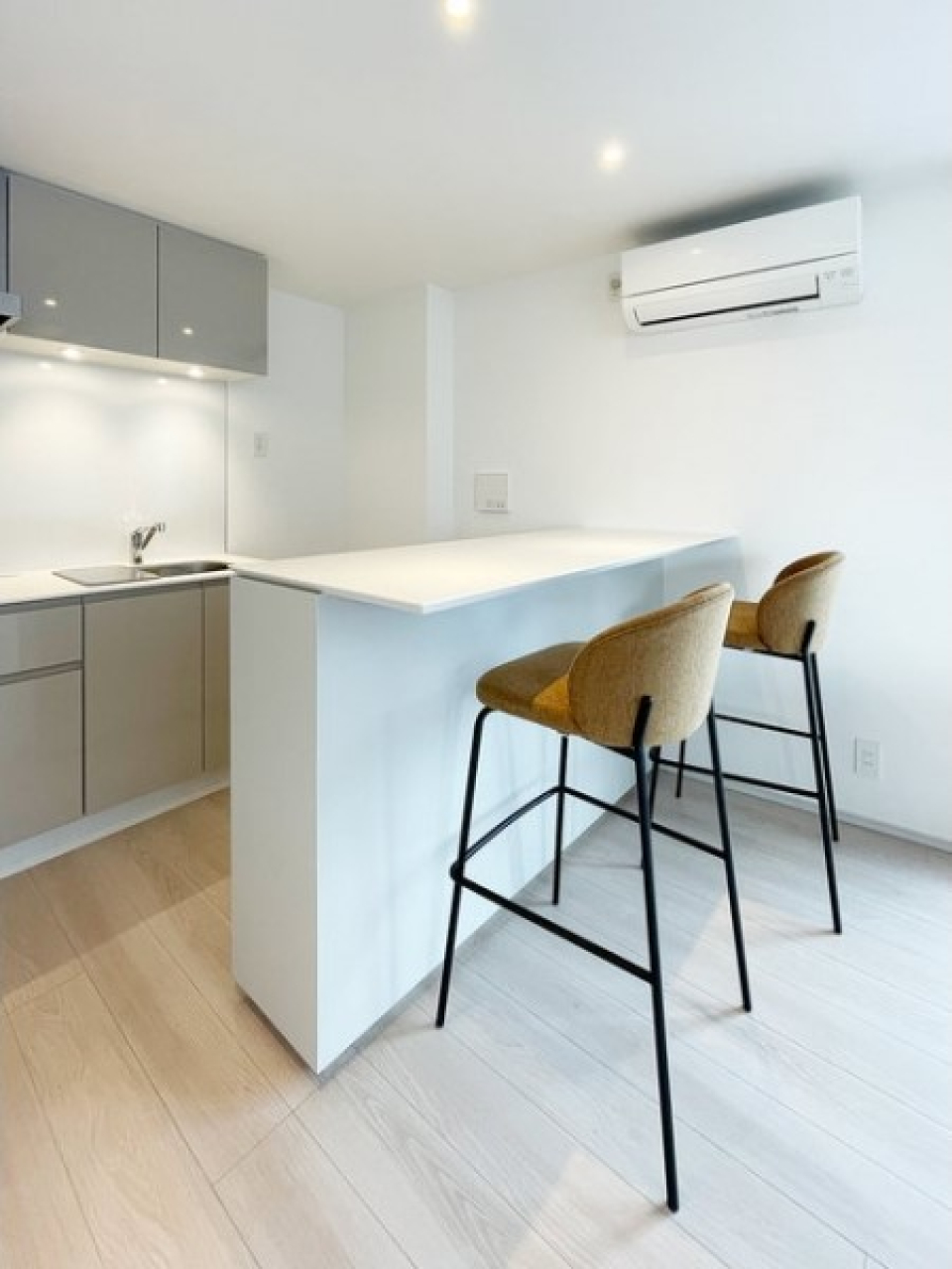 晩酌にはパケ買いのクラフトジンを