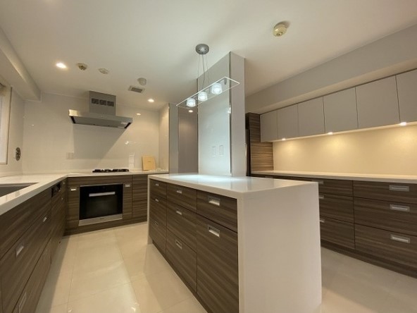 プロ仕様のような贅沢な作りのキッチン