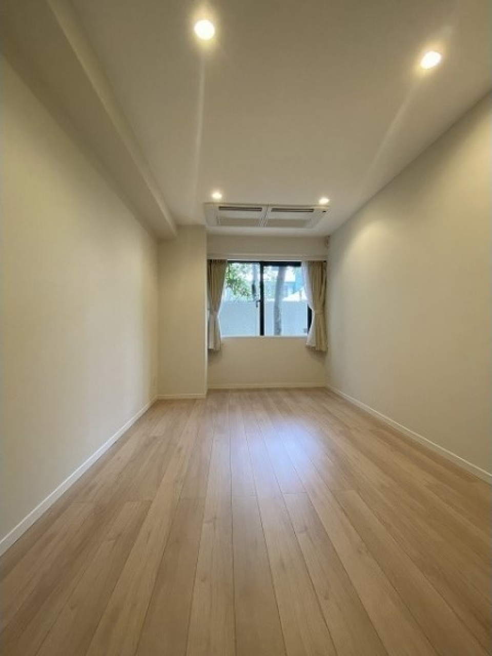 窓は北向きなので安定的な柔らかい光が広がります