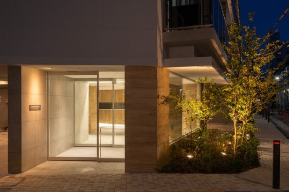 植栽が照らされて素敵です。