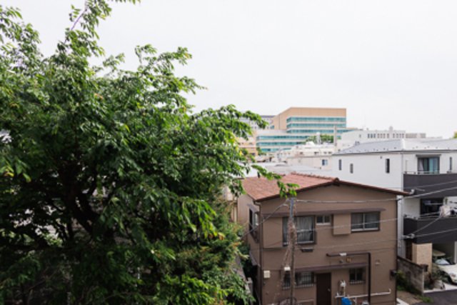 ちょっと歩くと新宿御苑にも行けますね