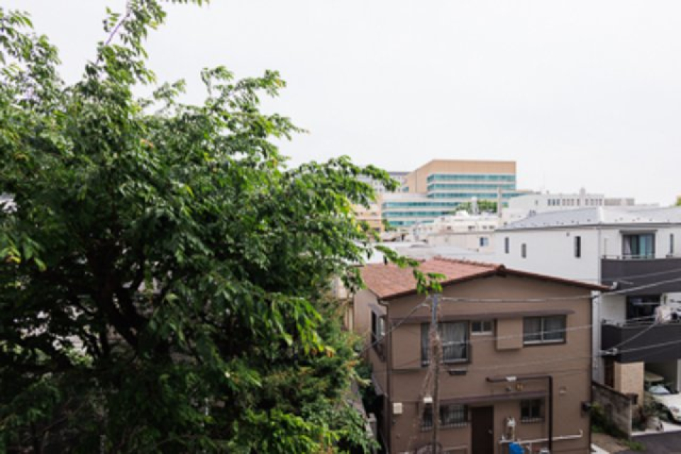 ちょっと歩くと新宿御苑にも行けますね