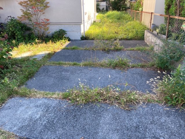 植物に触れる環境が身近にあると心地いいですね