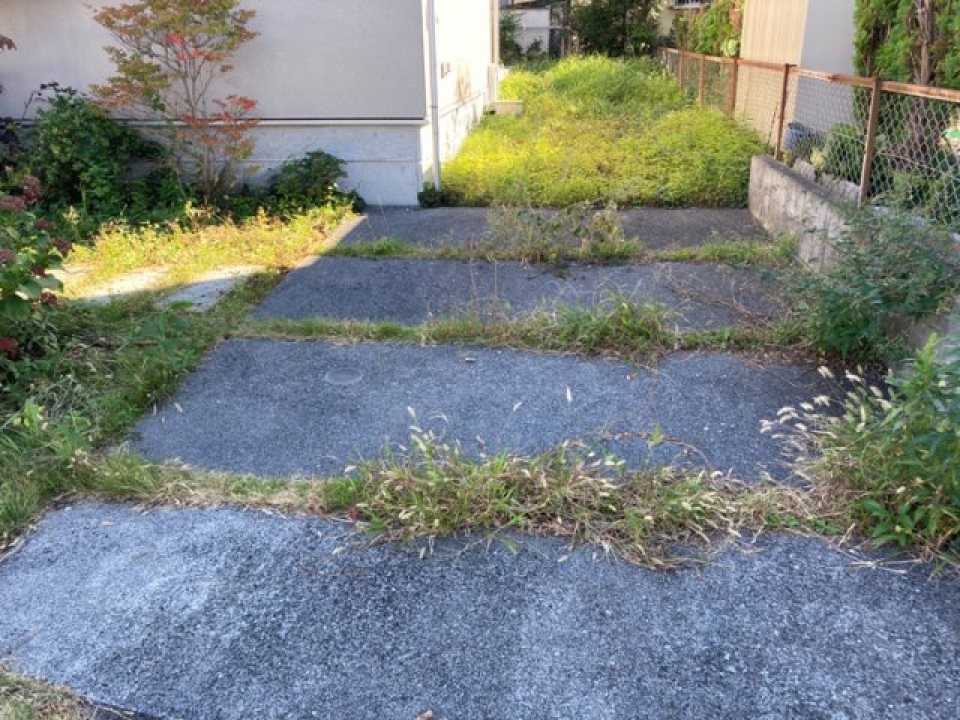 植物に触れる環境が身近にあると心地いいですね