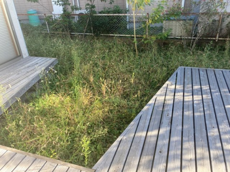 庭でのびのびと