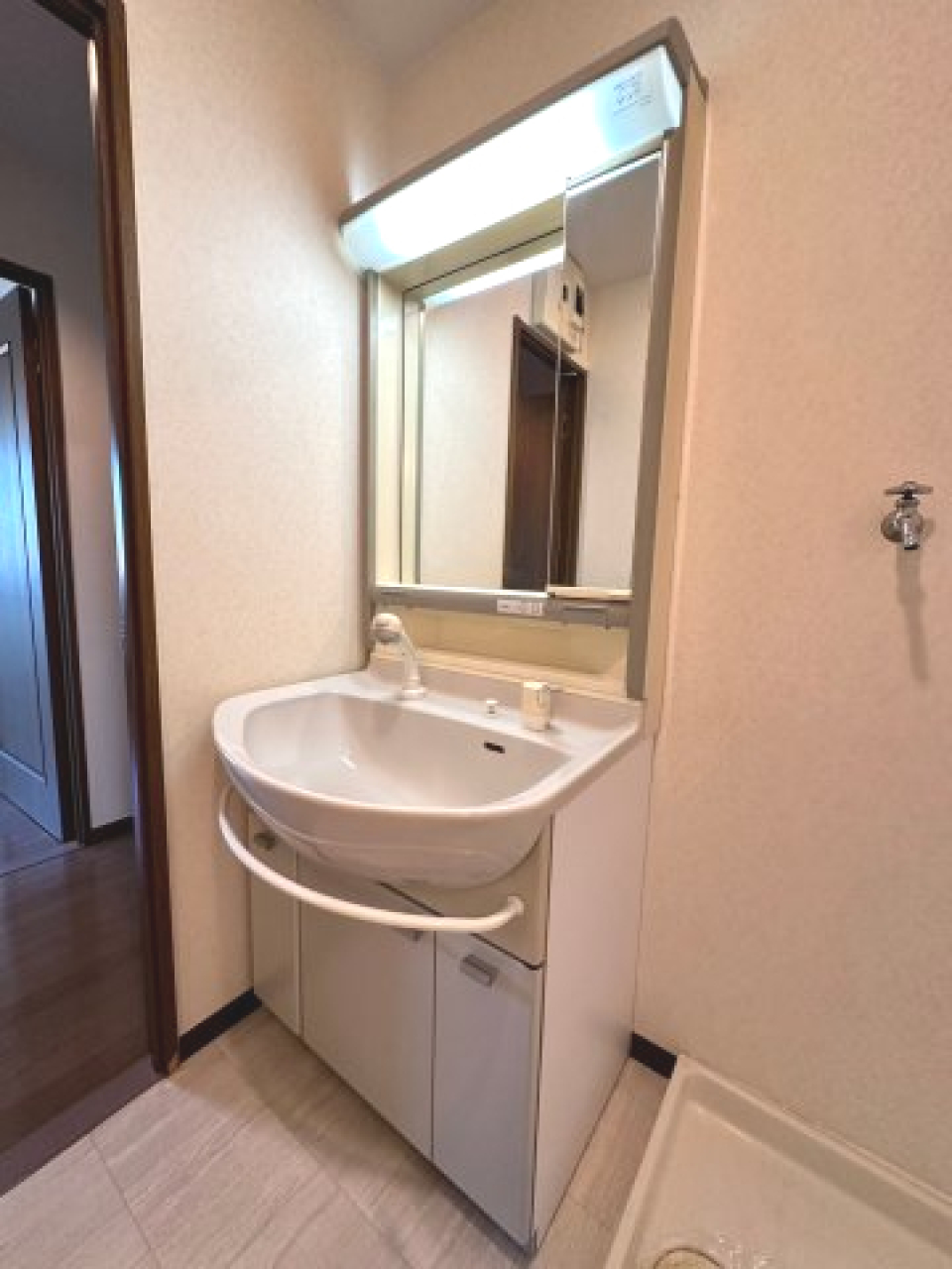 独立洗面台、小物を置くことができて便利です