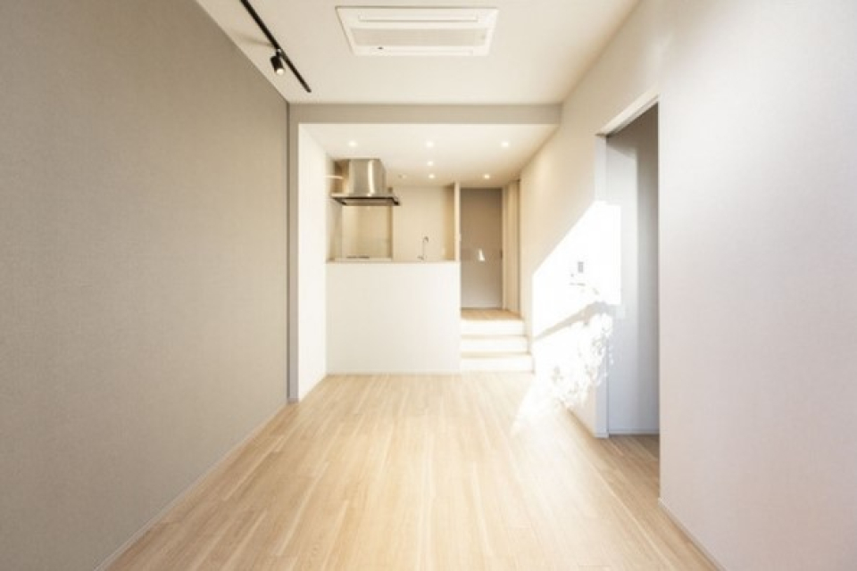 木の陰が入る、美しい午後