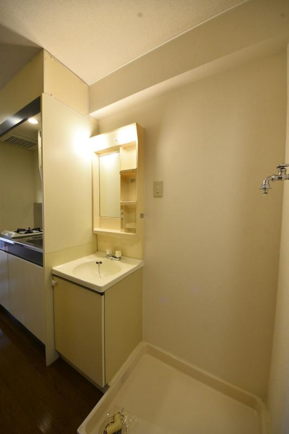 キッチンの横に洗面台があり〼。