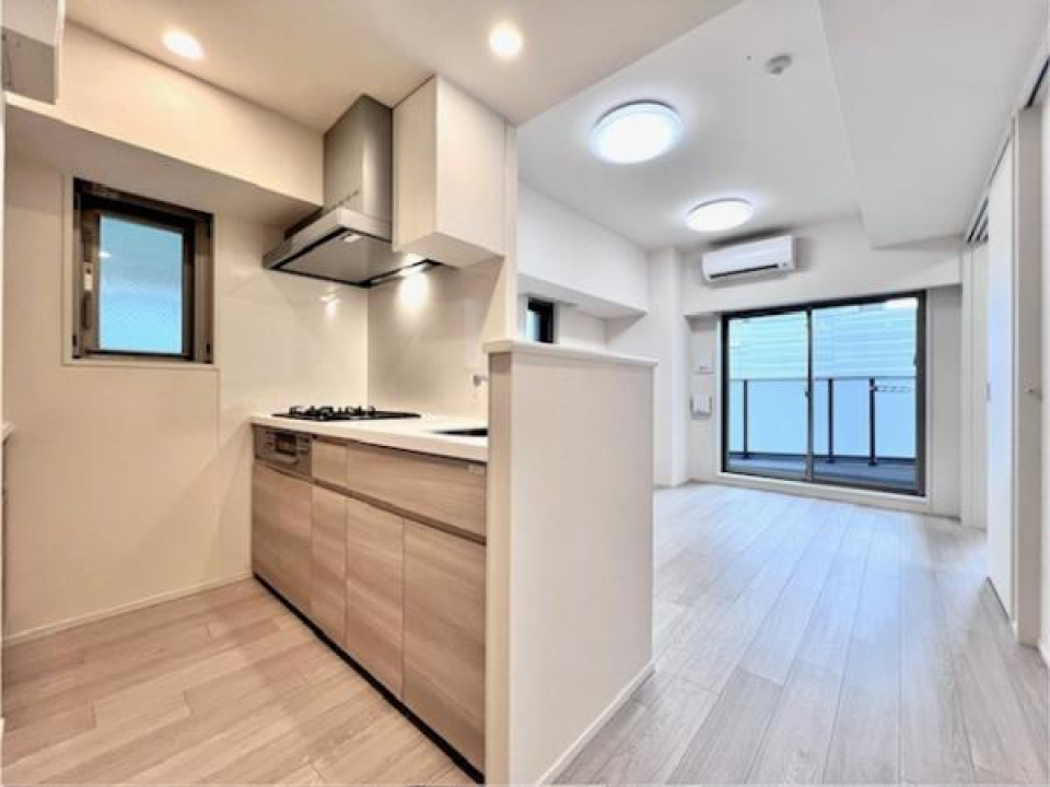 対面キッチンなので、リビングとバルコニーを覗くことができます。