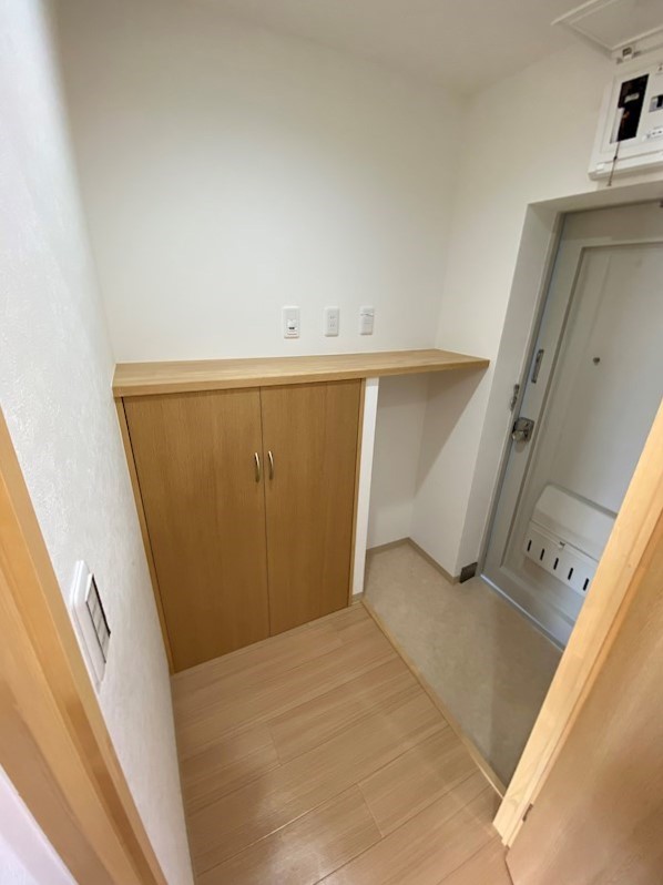 玄関の様子。小さいですがシューズクローゼットもあります