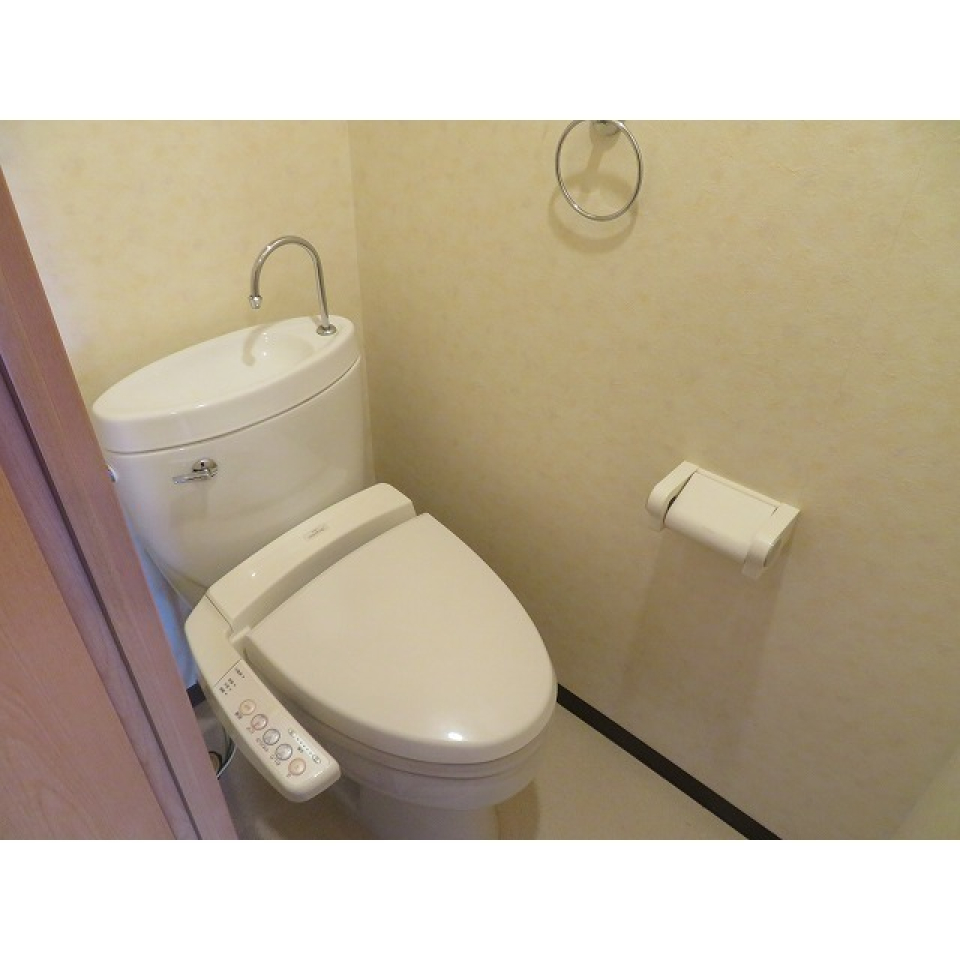 トイレの様子。