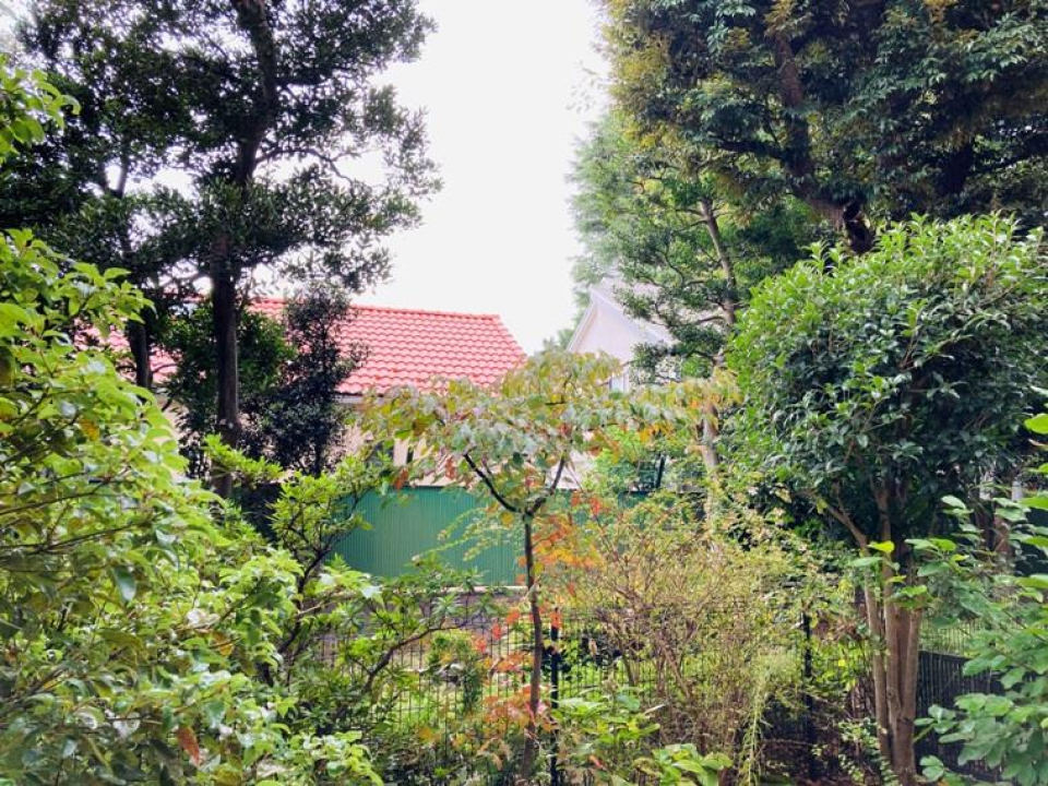 23区内とは思えないですね！