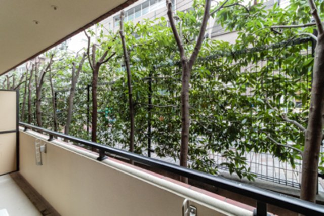 緑に囲まれたベランダが心地いい