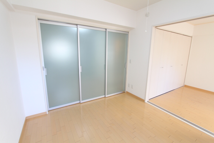 スケルトンの扉※参考写真