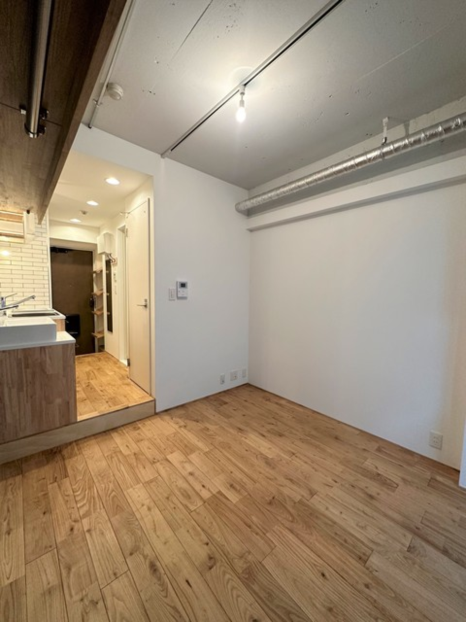 ダクトレールのライトがいい感じ