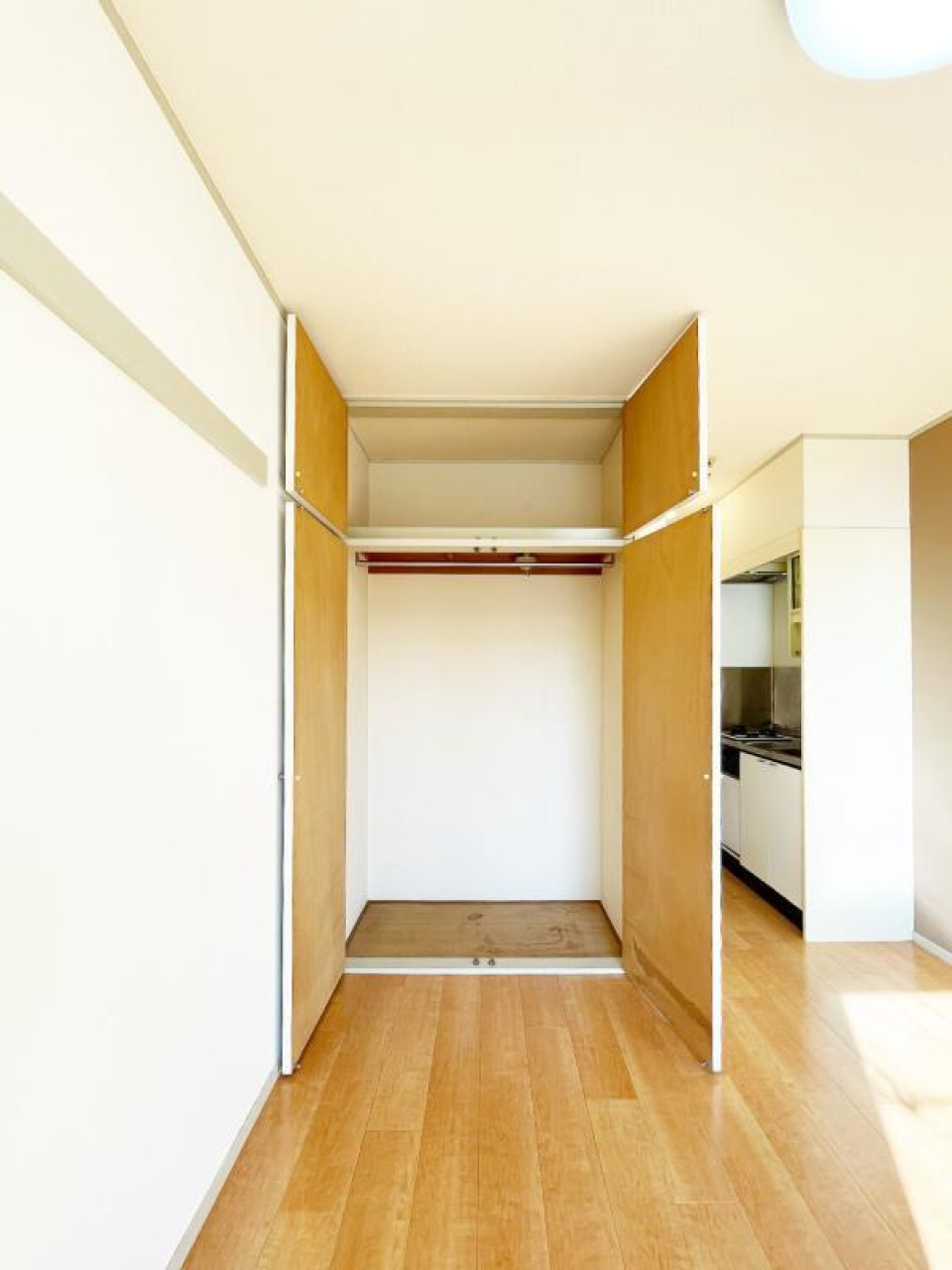 収納を開けた時の様子。