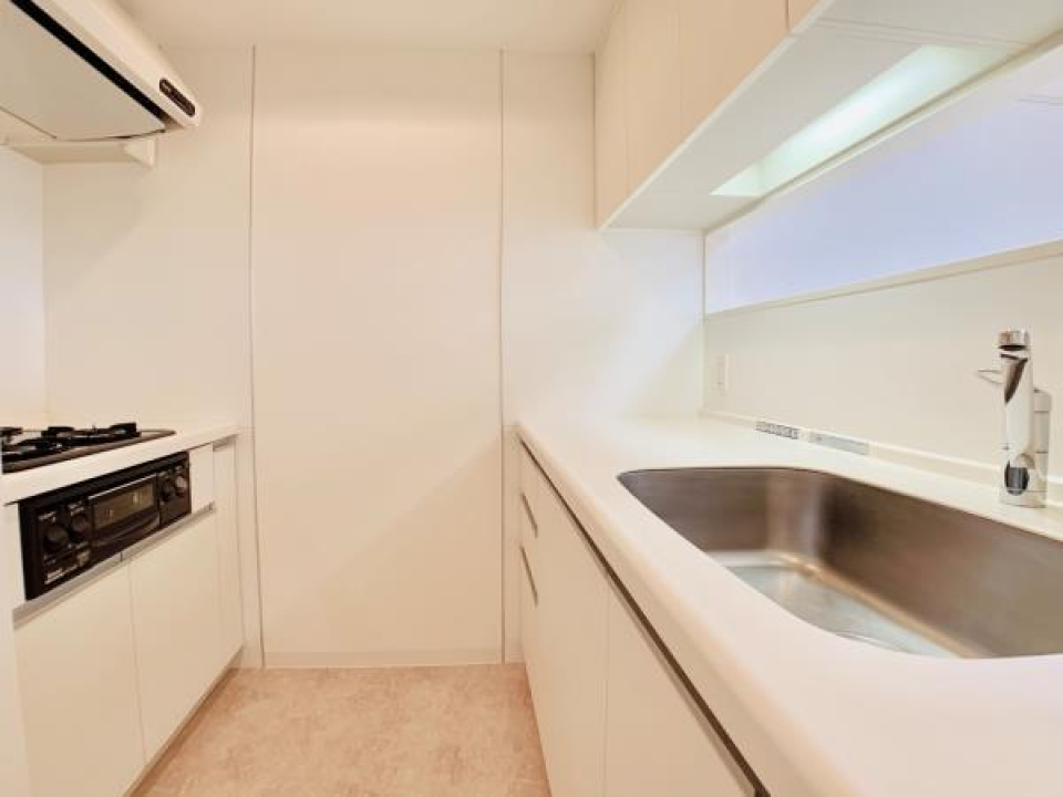 キッチンは2.9帖。コンロと洗い場が別々になってます