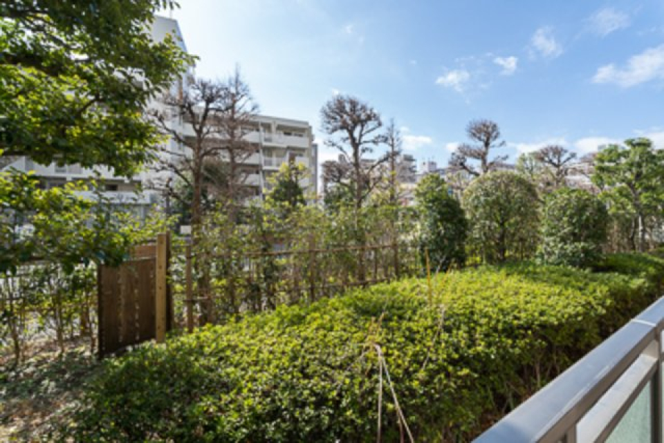 窓の向こうは緑にあふれてる